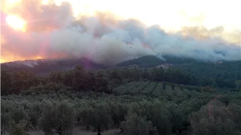 Bursa’daki orman yangını 15 dakikada büyüdü