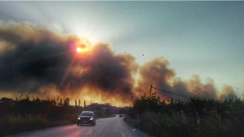 Bursa'da orman yangını