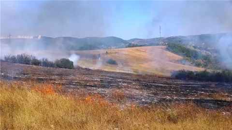 Kanepeyi yakarken otluk alanı tutuşturdu