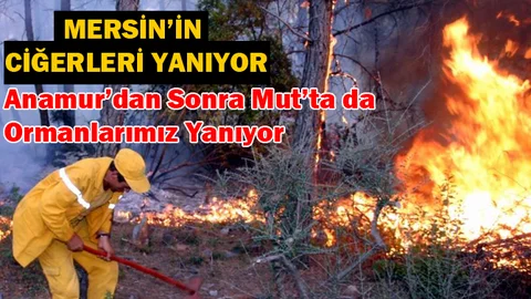 Mersin'de Korkutan Orman Yangını