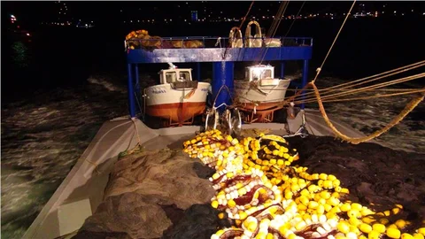 Rize'de balıkçılar 'vira Bismillah' dedi