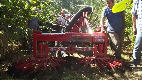 Karadenizli çiftçiden fındık toplama makinesi