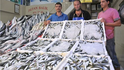 İlk günün bereketiyle balık fiyatları yarı yarıya ucuzladı