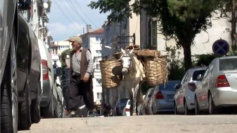 At sırtında meyve satıyor; Bursa sokaklarında tarihi görüntüler