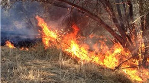 Yozgat’ta 25 bin dekar anız yandı, ağaçlar zarar gördü