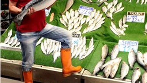 Balık sezonu Kayseri’de bereketli başladı