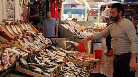 'Vira Bismillah' diyen balıkçıların en büyük sıkıntısı sıcaklar
