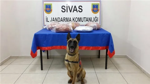 Salçaya sarılı kubar esrar maddesi ele geçirildi