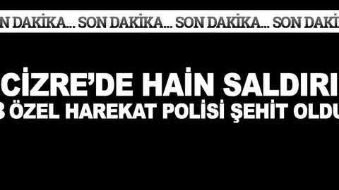 Cizre'de 3 özel harekat polisi şehit oldu 