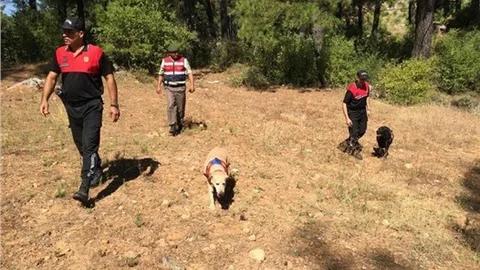 Muğla'daki kayıp yaşlı kadın ormanda bulundu