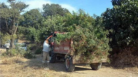 Aliağa Belediyesi 3 bin 500 yıllık Kyme yolunu iyileştiriyor