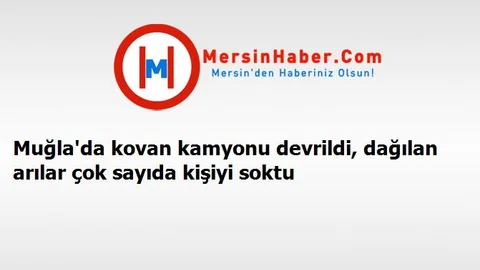 Muğla'da kovan kamyonu devrildi, dağılan arılar çok sayıda kişiyi soktu