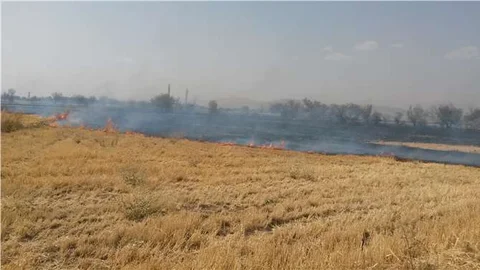 Elazığ’da arazide çıkan yangın, geniş alana yayıldı