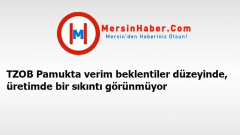 TZOB Pamukta verim beklentiler düzeyinde, üretimde bir sıkıntı görünmüyor