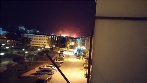 Hatay'da orman yangını