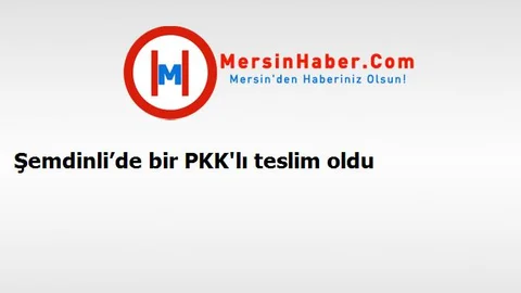 Şemdinli’de bir PKK'lı teslim oldu