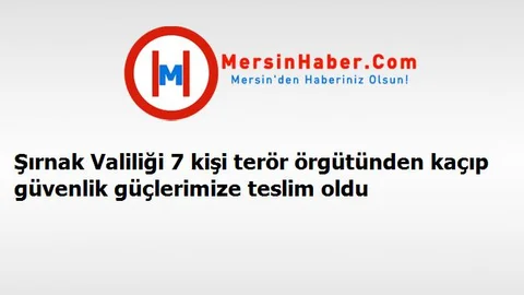 Şırnak Valiliği 7 kişi terör örgütünden kaçıp güvenlik güçlerimize teslim oldu