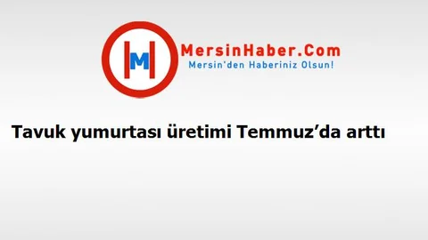 Tavuk yumurtası üretimi Temmuz’da arttı