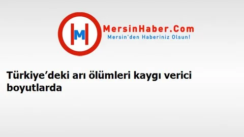 Türkiye’deki arı ölümleri kaygı verici boyutlarda