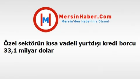 Özel sektörün kısa vadeli yurtdışı kredi borcu 33,1 milyar dolar