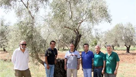 Zeytinpark projesi, Çevre ve Şehircilik Bakanlığı'nın çalışmasını bekliyor