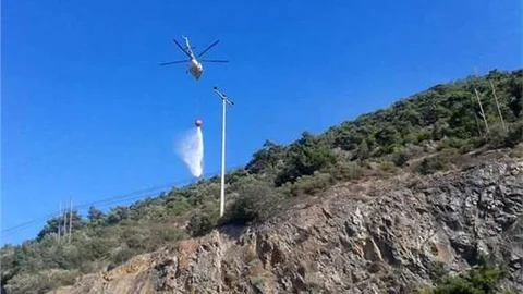 Altınoluk'taki orman yangını kontrol altına alındı