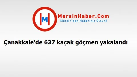 Çanakkale'de 637 kaçak göçmen yakalandı