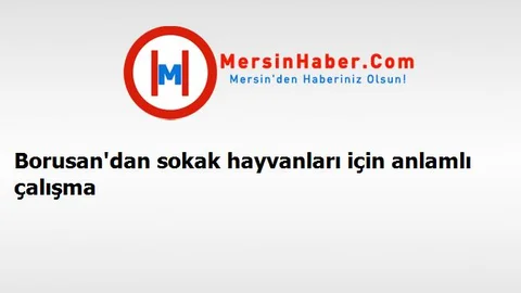 Borusan'dan sokak hayvanları için anlamlı çalışma