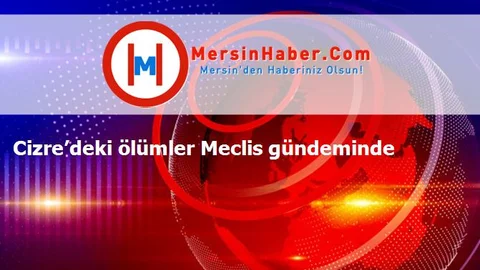 Cizre’deki ölümler Meclis gündeminde