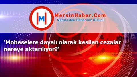 'Mobeselere dayalı olarak kesilen cezalar nereye aktarılıyor?'