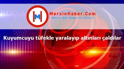 Kuyumcuyu tüfekle yaralayıp altınları çaldılar