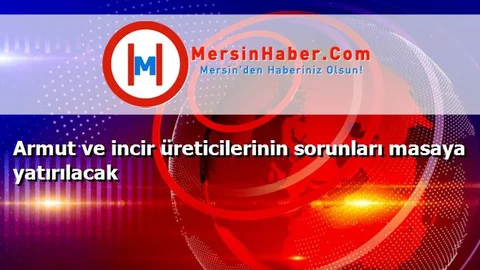 Armut ve incir üreticilerinin sorunları masaya yatırılacak