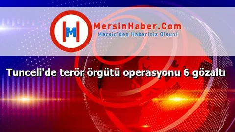 Tunceli'de terör örgütü operasyonu 6 gözaltı