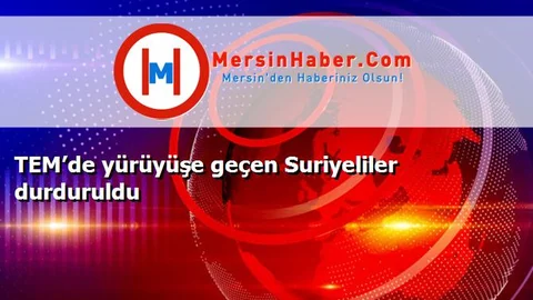 TEM’de yürüyüşe geçen Suriyeliler durduruldu