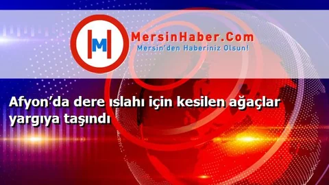 Afyon’da dere ıslahı için kesilen ağaçlar yargıya taşındı