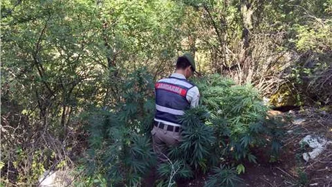 Muğla Seydikemer'de uyuşturucu operasyonu