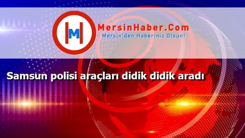 Samsun polisi araçları didik didik aradı