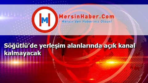 Söğütlü’de yerleşim alanlarında açık kanal kalmayacak
