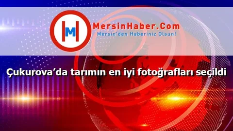 Çukurova’da tarımın en iyi fotoğrafları seçildi