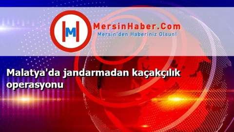 Malatya'da jandarmadan kaçakçılık operasyonu