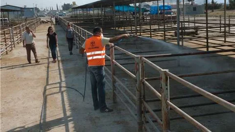 Ceyhan Havyan Pazarı, bulaşıcı hastalıklara karşı ilaçlandı
