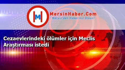 Cezaevlerindeki ölümler için Meclis Araştırması istedi