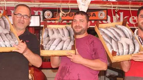 Bandırma’da palamut fiyatları 10 TL’ye düştü