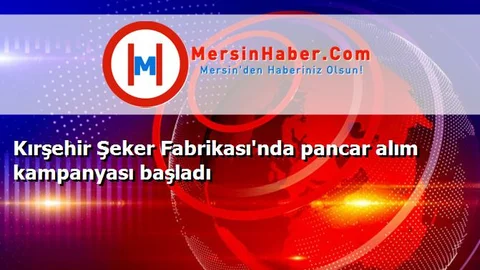 Kırşehir Şeker Fabrikası'nda pancar alım kampanyası başladı