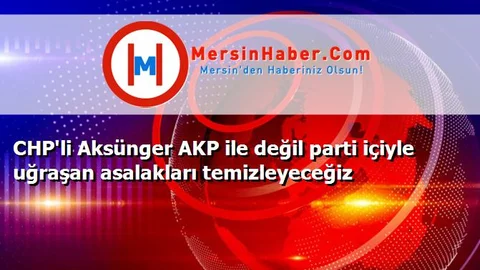 CHP'li Aksünger AKP ile değil parti içiyle uğraşan asalakları temizleyeceğiz