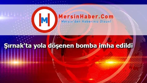 Şırnak'ta yola döşenen bomba imha edildi
