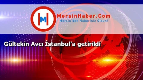 Gültekin Avcı İstanbul’a getirildi