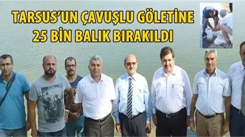 Tarsus’un Çavuşlu Göletine 25 Bin Balık Bırakıldı