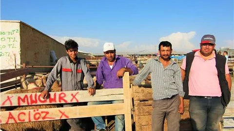 Kırşehir'de kurbanlık satıcıları altyapıdan yetersizliğinden şikayetçi