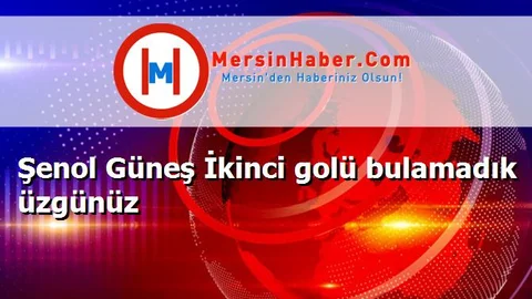 Şenol Güneş İkinci golü bulamadık üzgünüz